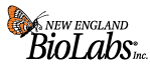 New England BioLabs